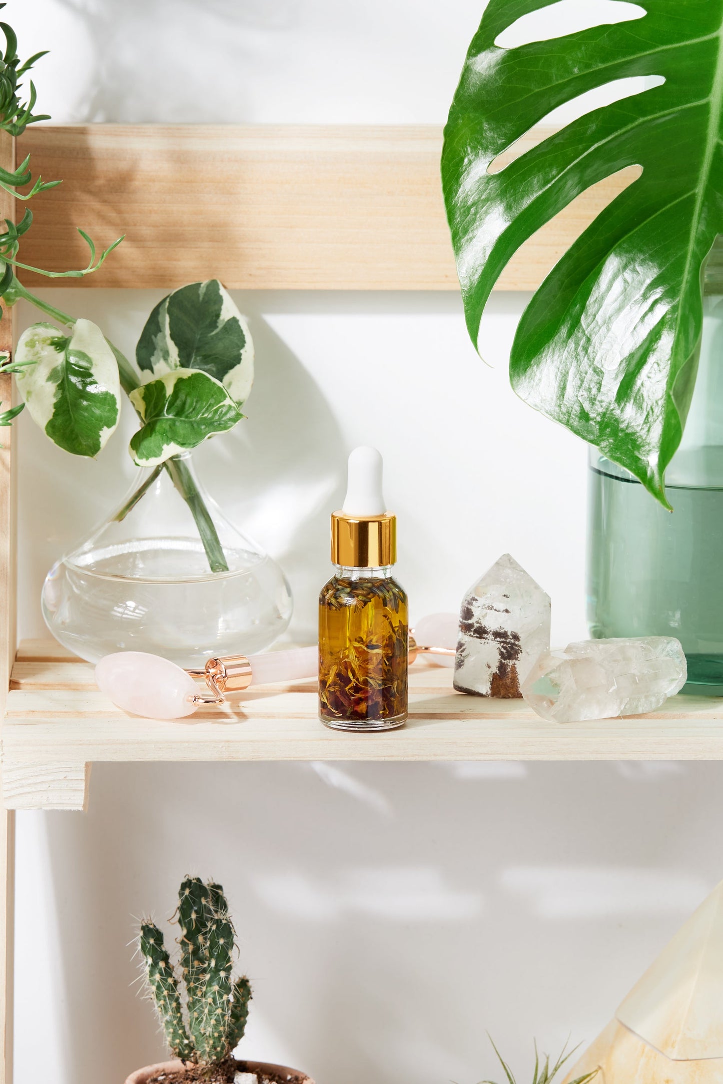 Anti Aging Facial Serum